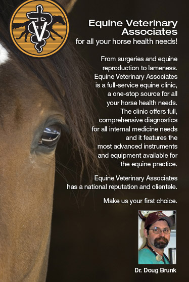 Equine Veterinary Associates, for all you horse health needs!