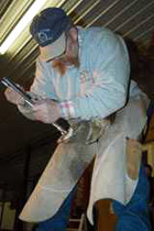 Farrier Consultations